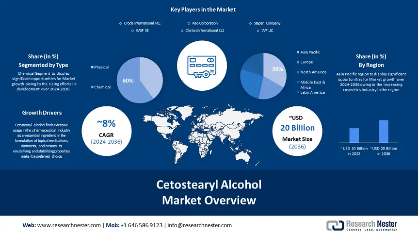 Cetostearyl Alcohol Market overview